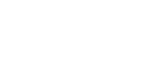 Napolean only white Logo